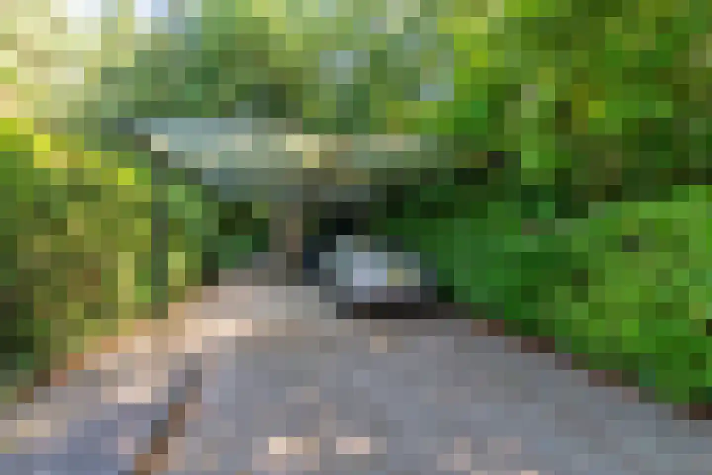 Ericalaan 11 Rhenen thumbnail 4