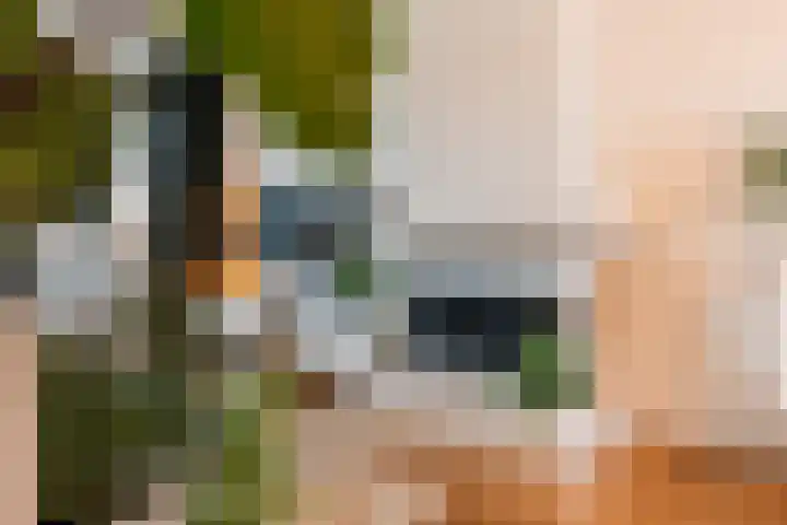 Ericalaan 111 Hoogeveen thumbnail 11