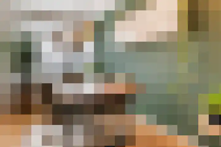 Ericalaan 111 Hoogeveen thumbnail 13