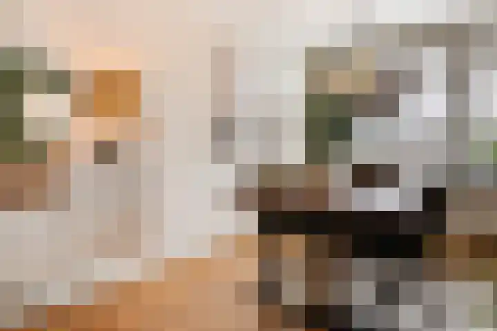 Ericalaan 111 Hoogeveen thumbnail 15