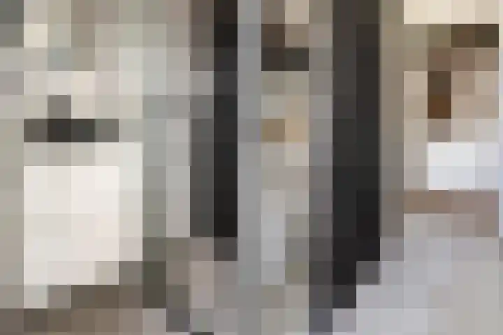 Ericalaan 111 Hoogeveen thumbnail 19