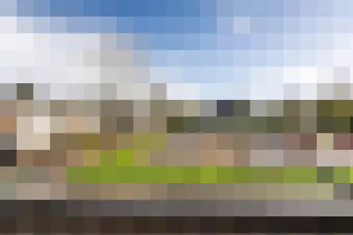 Ericalaan 111 Hoogeveen thumbnail 23