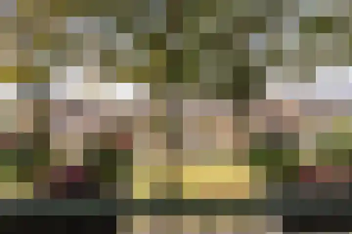 Ericalaan 111 Hoogeveen thumbnail 24
