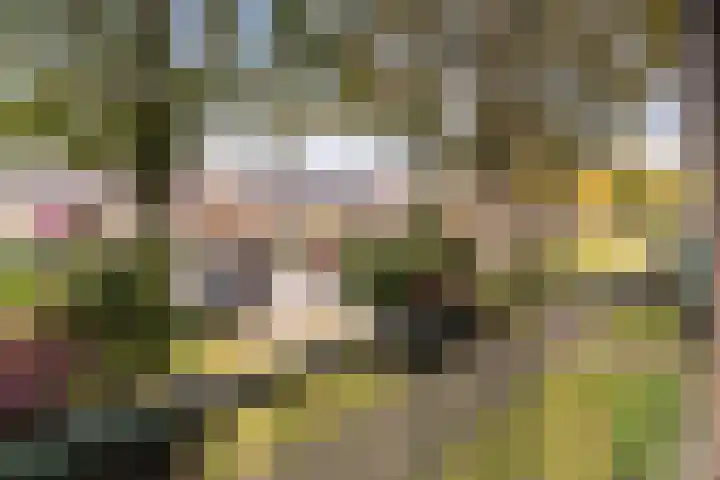 Ericalaan 111 Hoogeveen thumbnail 25
