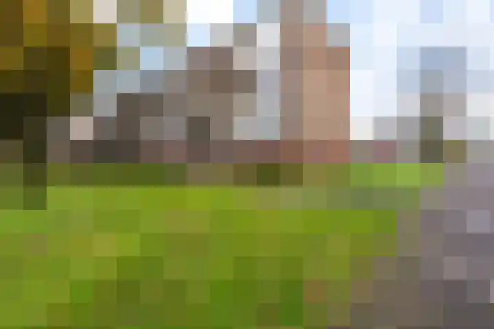 Ericalaan 111 Hoogeveen thumbnail 5