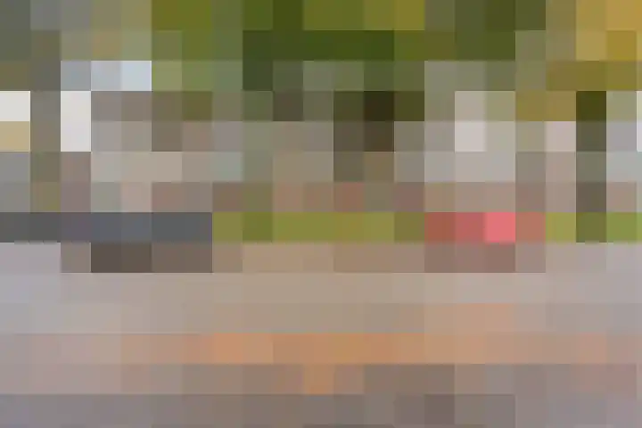 Ericalaan 111 Hoogeveen thumbnail 6