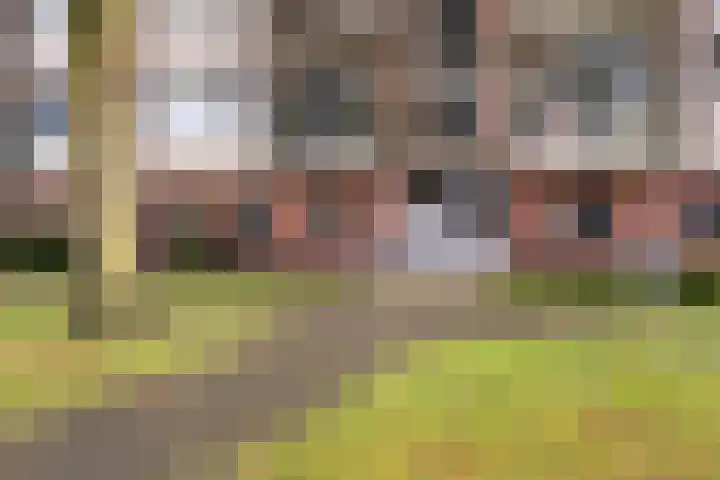 Ericalaan 111 Hoogeveen thumbnail 7