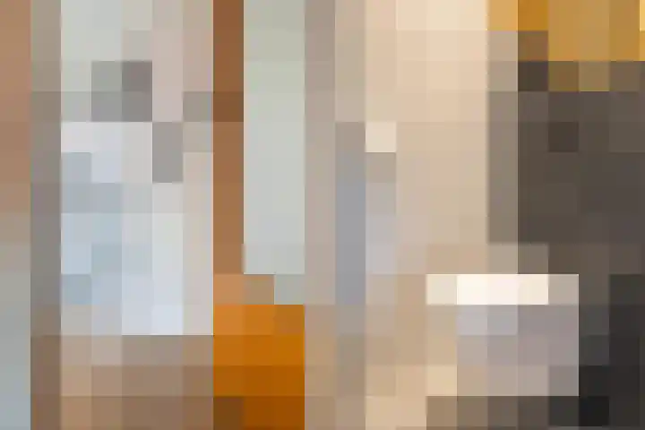 Ericalaan 111 Hoogeveen thumbnail 9