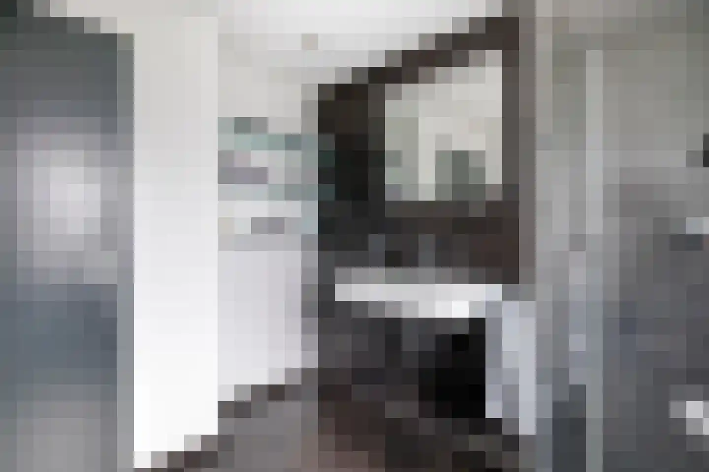 Ericalaan 13 Hoeven thumbnail 26