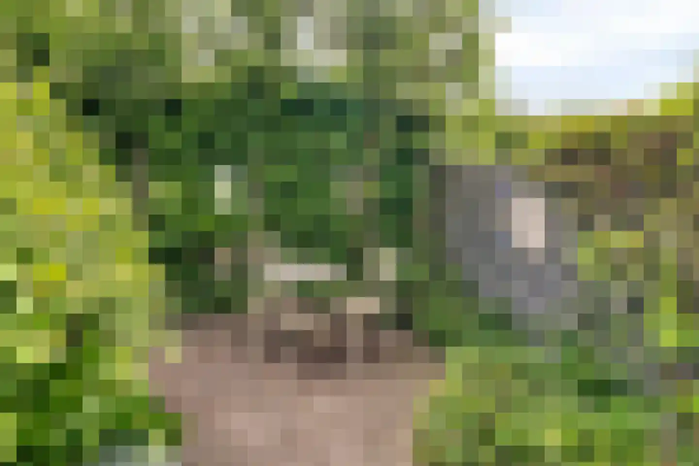Ericalaan 13 Hoeven thumbnail 34
