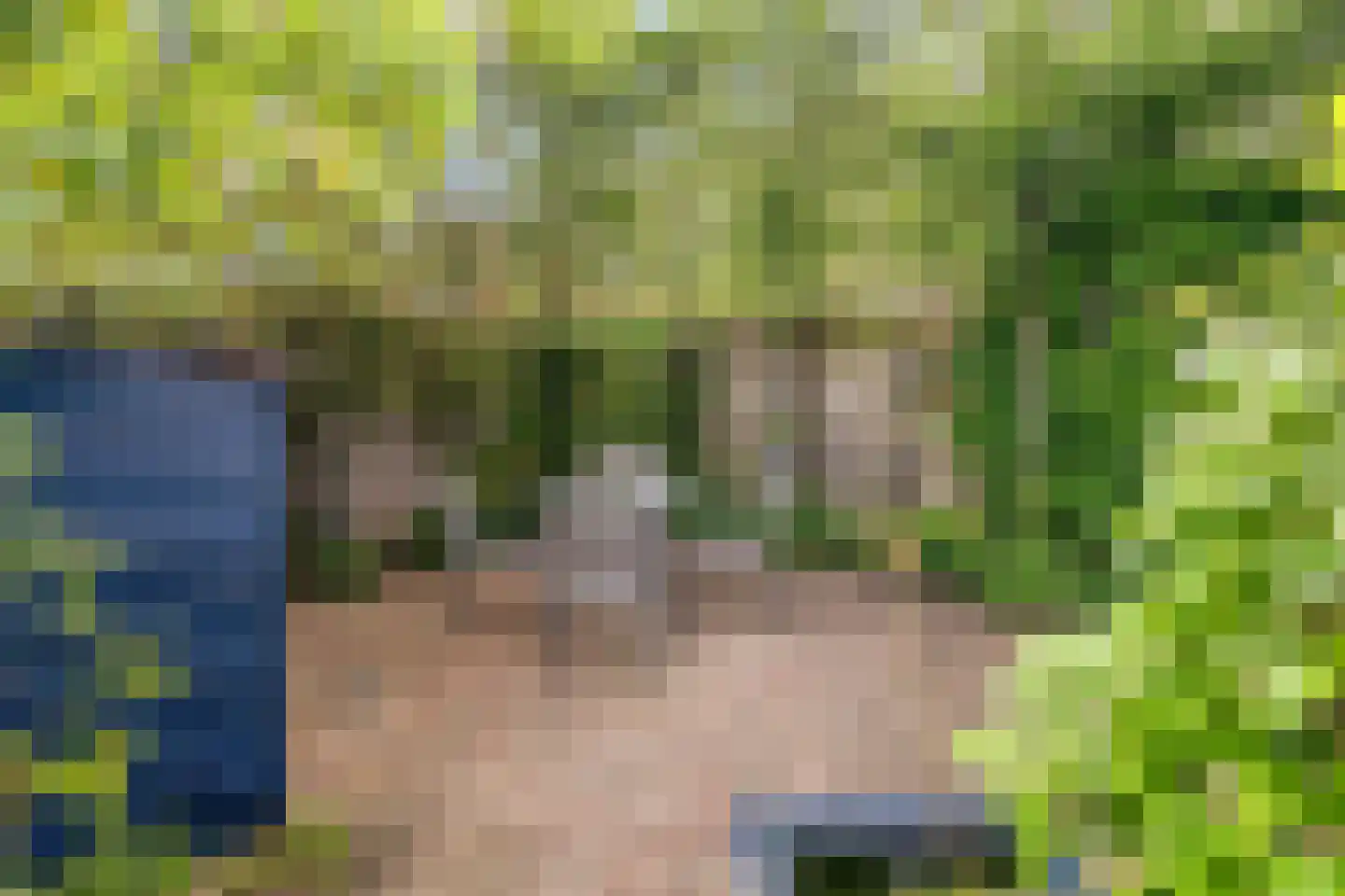Ericalaan 13 Hoeven thumbnail 35