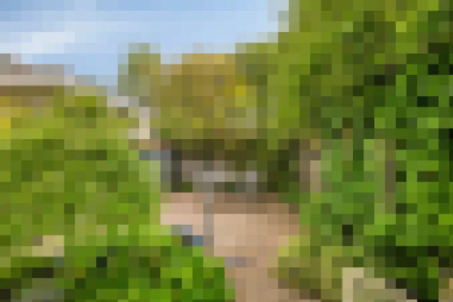 Ericalaan 13 Hoeven thumbnail 36