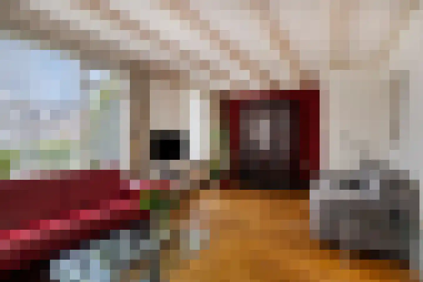 Ericalaan 13 Hoeven thumbnail 9