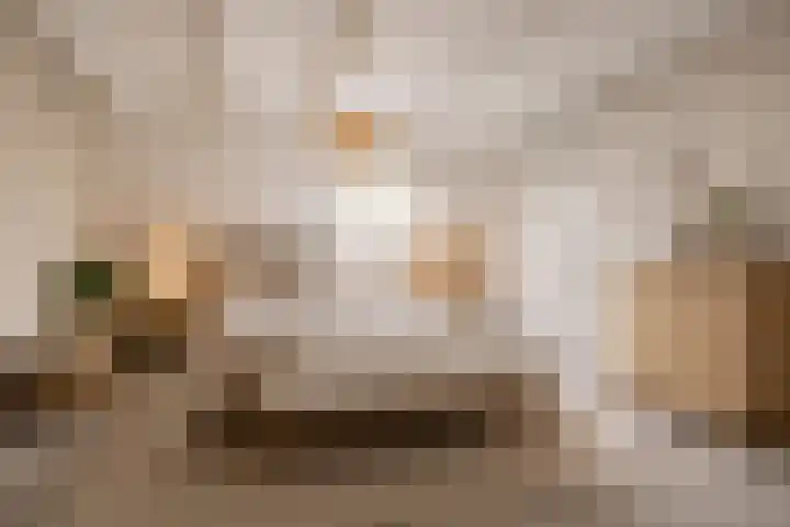 Ericalaan 13 Rhenen thumbnail 32