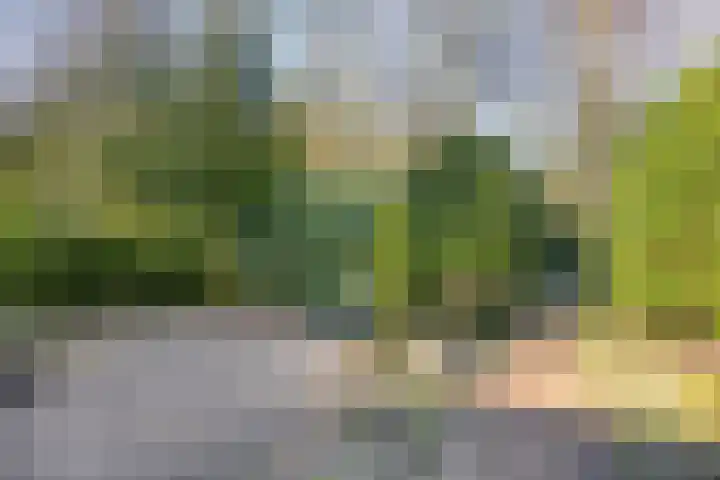 Ericalaan 13 Rhenen thumbnail 37