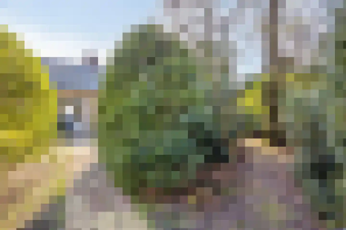 Ericalaan 13 Rhenen thumbnail 38