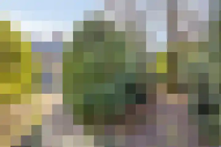 Ericalaan 13 Rhenen thumbnail 38