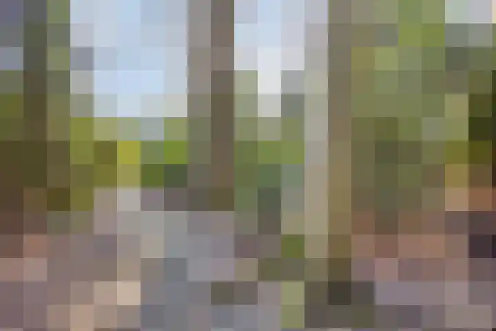 Ericalaan 13 Rhenen thumbnail 39