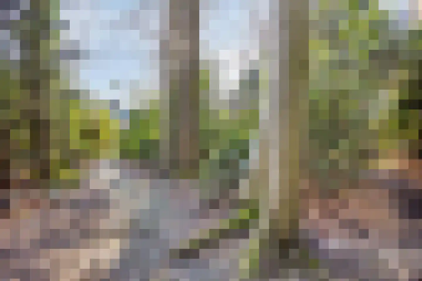 Ericalaan 13 Rhenen thumbnail 39