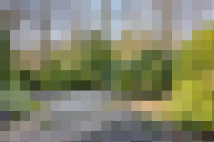 Ericalaan 13 Rhenen thumbnail 4