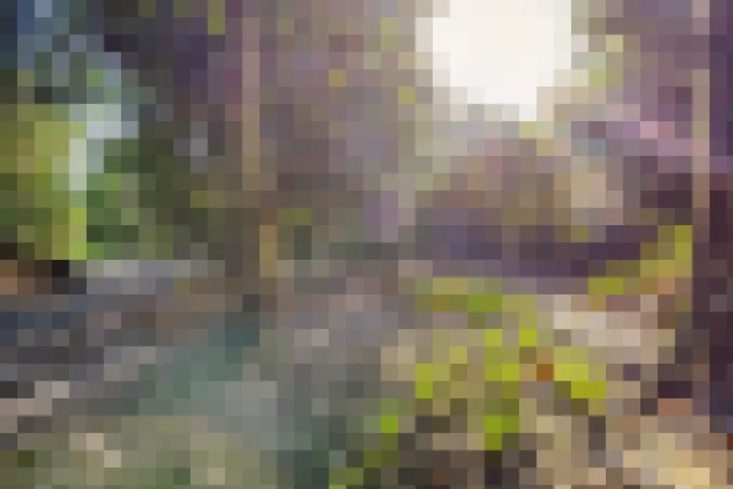 Ericalaan 13 Rhenen thumbnail 40