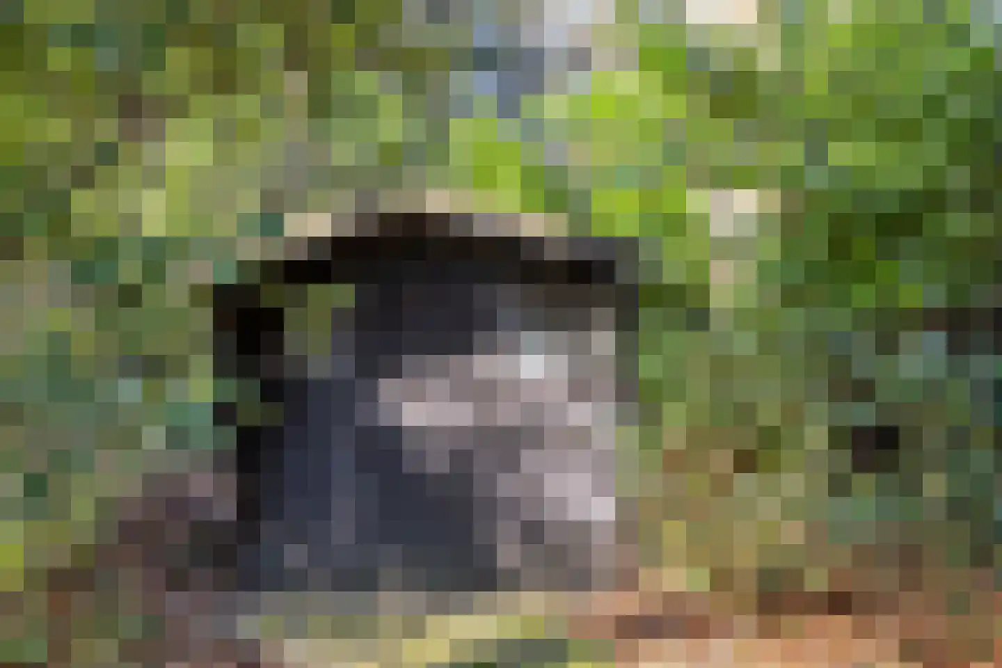 Ericalaan 13 Rhenen thumbnail 41