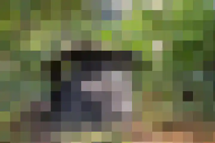 Ericalaan 13 Rhenen thumbnail 41