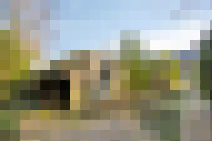 Ericalaan 13 Rhenen thumbnail 42