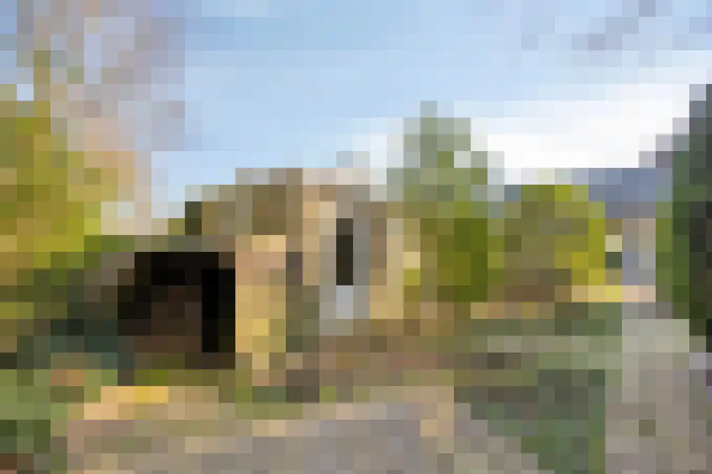Ericalaan 13 Rhenen thumbnail 42