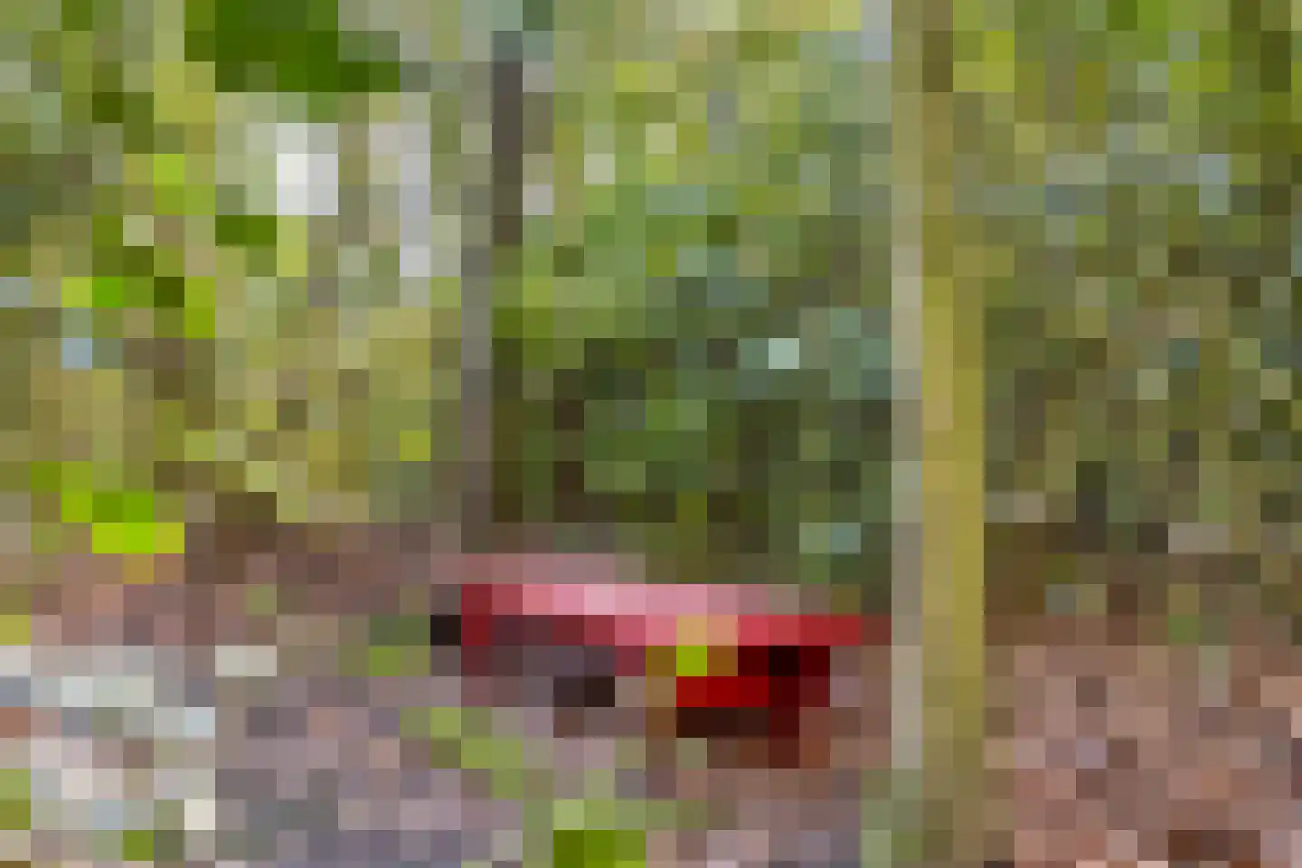 Ericalaan 13 Rhenen thumbnail 43