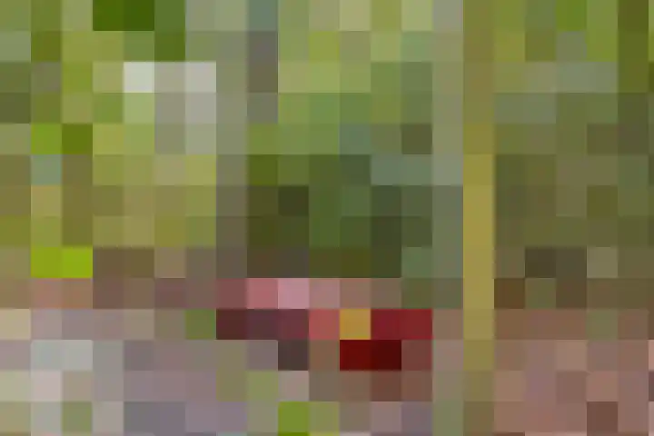 Ericalaan 13 Rhenen thumbnail 43