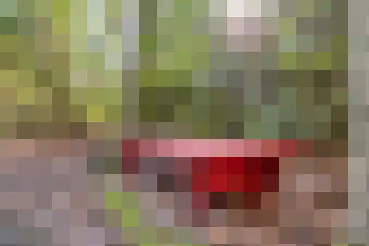 Ericalaan 13 Rhenen thumbnail 44