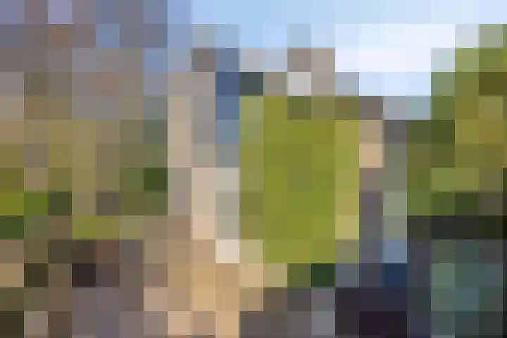 Ericalaan 13 Rhenen thumbnail 46