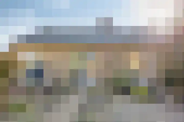 Ericalaan 13 Rhenen thumbnail 47