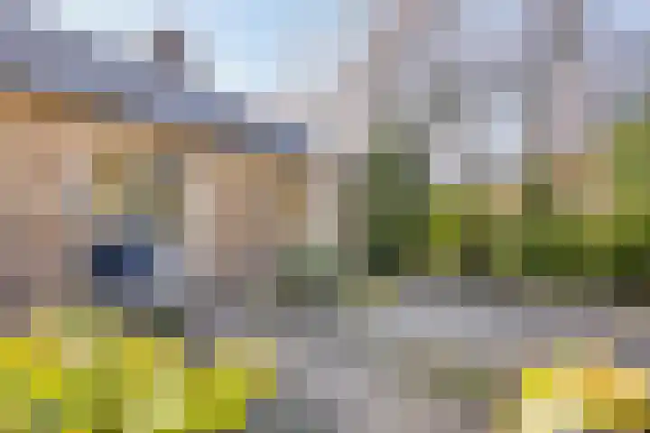 Ericalaan 13 Rhenen thumbnail 49