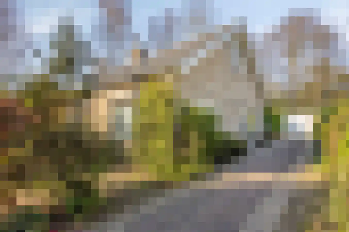Ericalaan 13 Rhenen thumbnail 5
