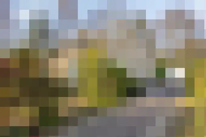 Ericalaan 13 Rhenen thumbnail 5