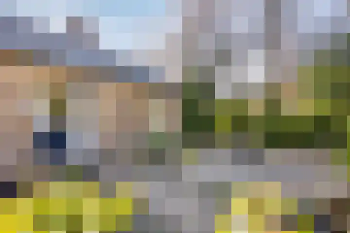 Ericalaan 13 Rhenen thumbnail 50