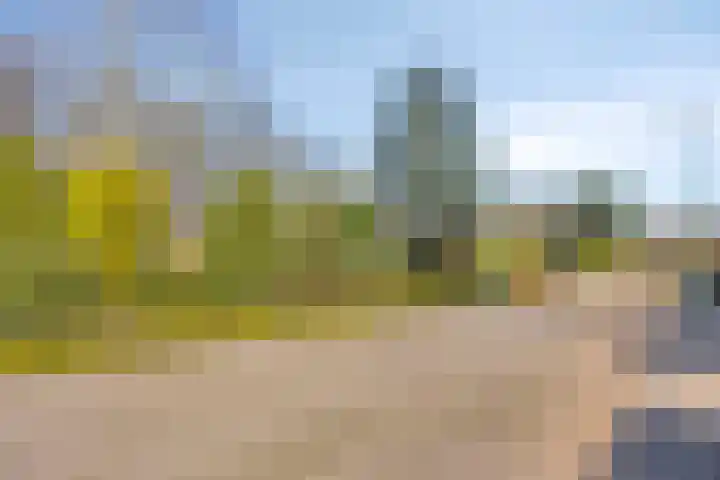 Ericalaan 13 Rhenen thumbnail 52