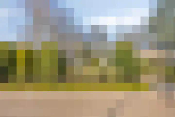 Ericalaan 13 Rhenen thumbnail 53