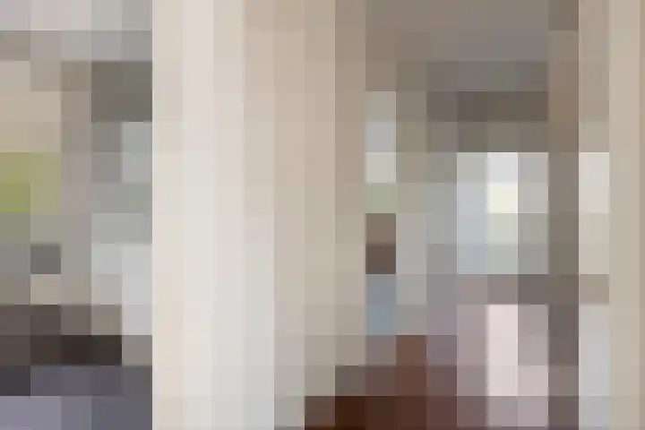 Ericalaan 13 Rhenen thumbnail 8