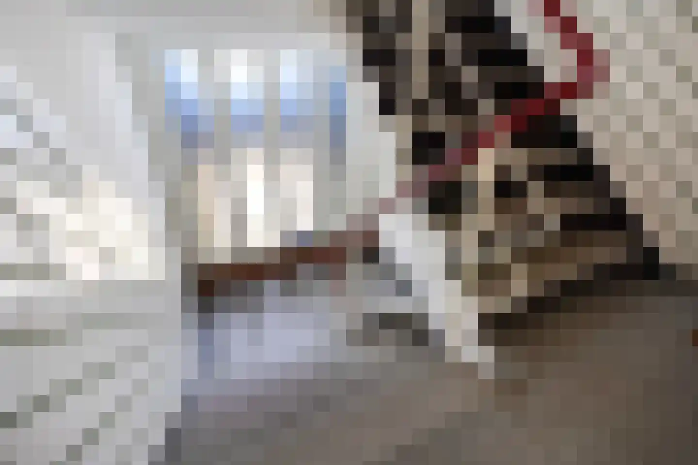 Ericalaan 139 Den Haag thumbnail 5