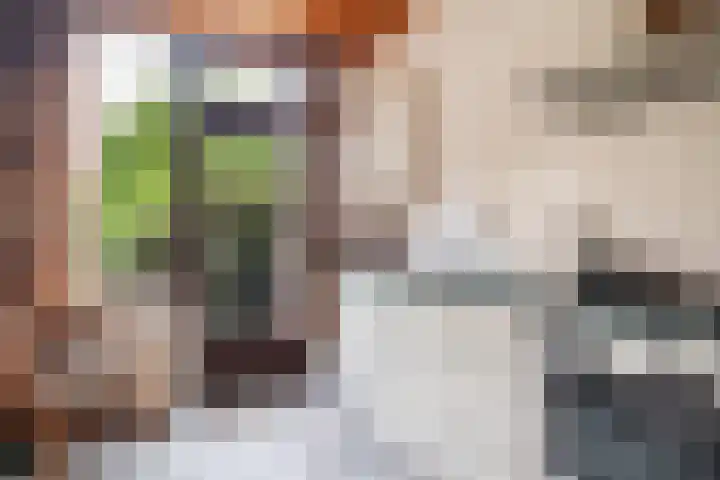 Ericalaan 15 Ermelo thumbnail 16