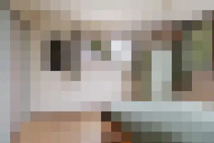 Ericalaan 15 Ermelo thumbnail 19