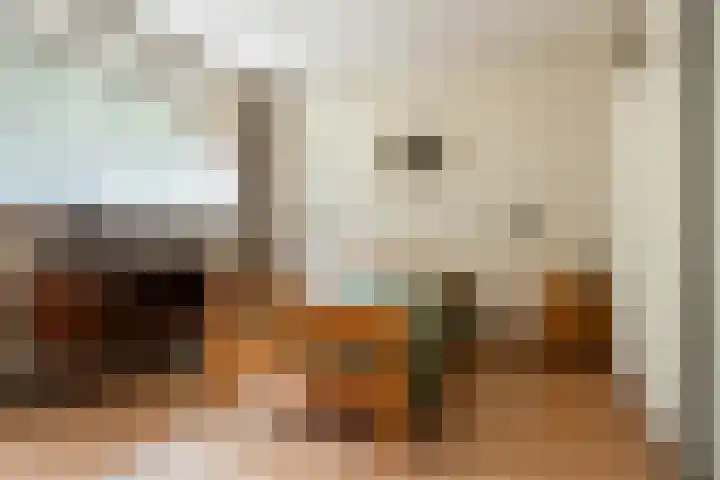 Ericalaan 15 Ermelo thumbnail 21