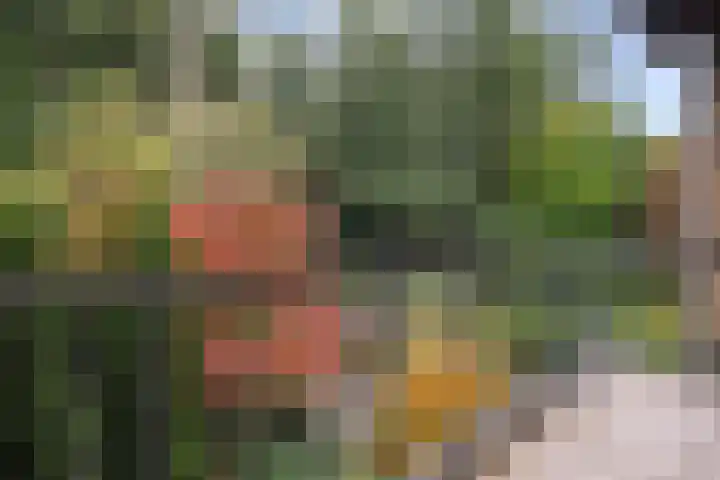 Ericalaan 15 Ermelo thumbnail 24