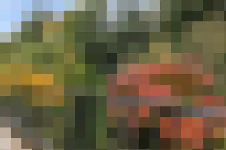 Ericalaan 15 Ermelo thumbnail 25
