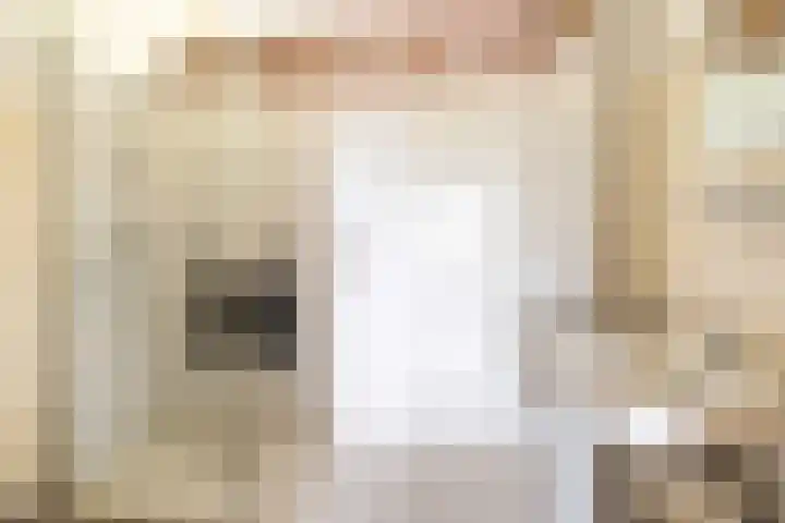 Ericalaan 15 Ermelo thumbnail 27