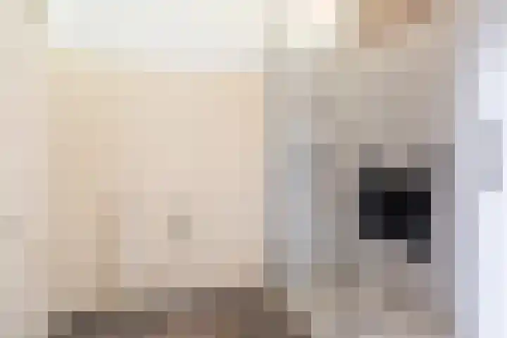 Ericalaan 15 Ermelo thumbnail 28
