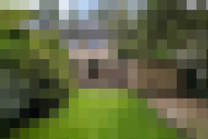 Ericalaan 15 Ermelo thumbnail 36